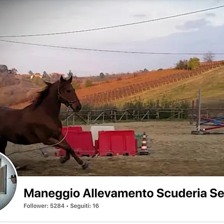 Panoramica Sulle Colline Del Monferrato *