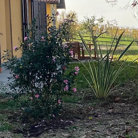 Panoramica Sulle Colline Del Monferrato